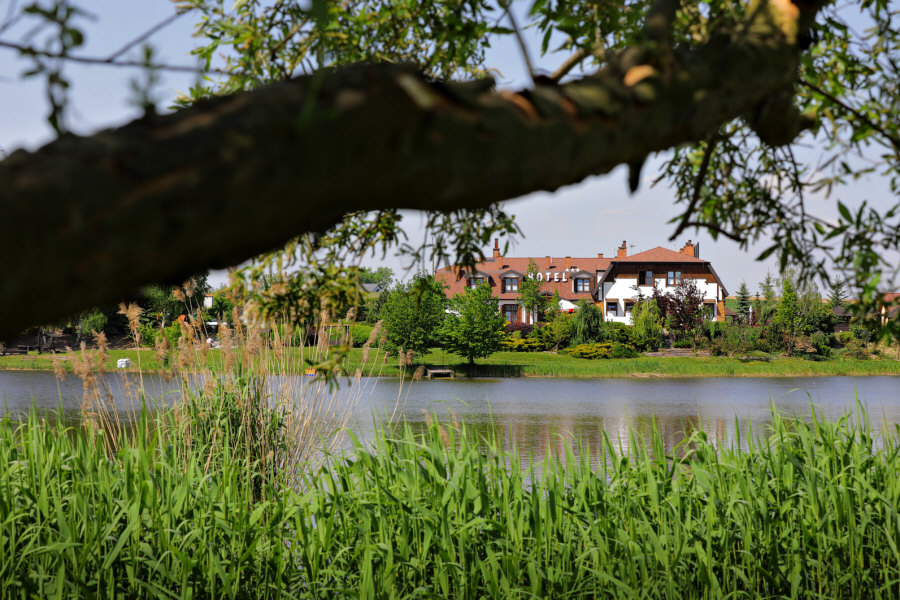 Отель Dwor Bogucin 05