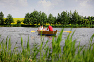 Отель Dwor Bogucin 21